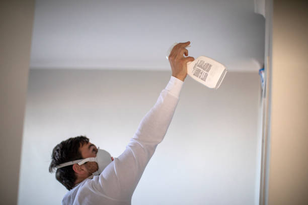 Best Mold Testing  in Avoca, PA