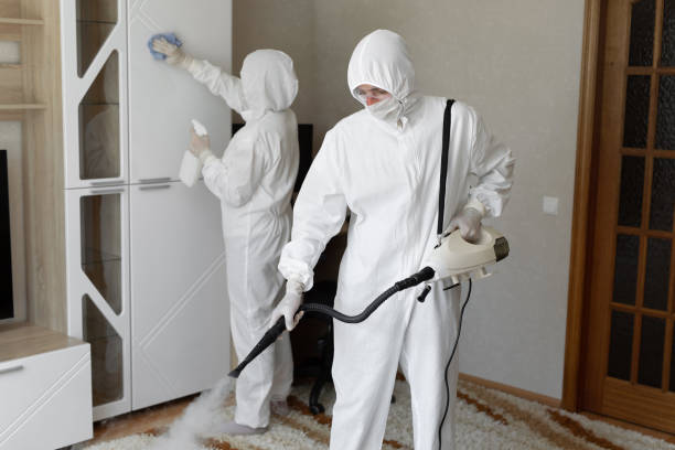 Best Residential Mold Removal  in Avoca, PA